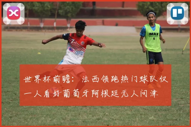 世界杯前瞻：法西领跑热门球队仅一人看好葡萄牙阿根廷无人问津