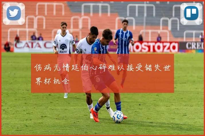 伤病无情廷伯心碎难以接受错失世界杯机会